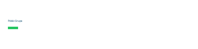Polski Grupa logo
